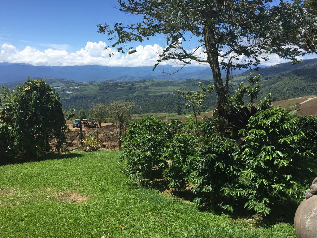 Guayabo Lodge Santa Cruz  Kültér fotó
