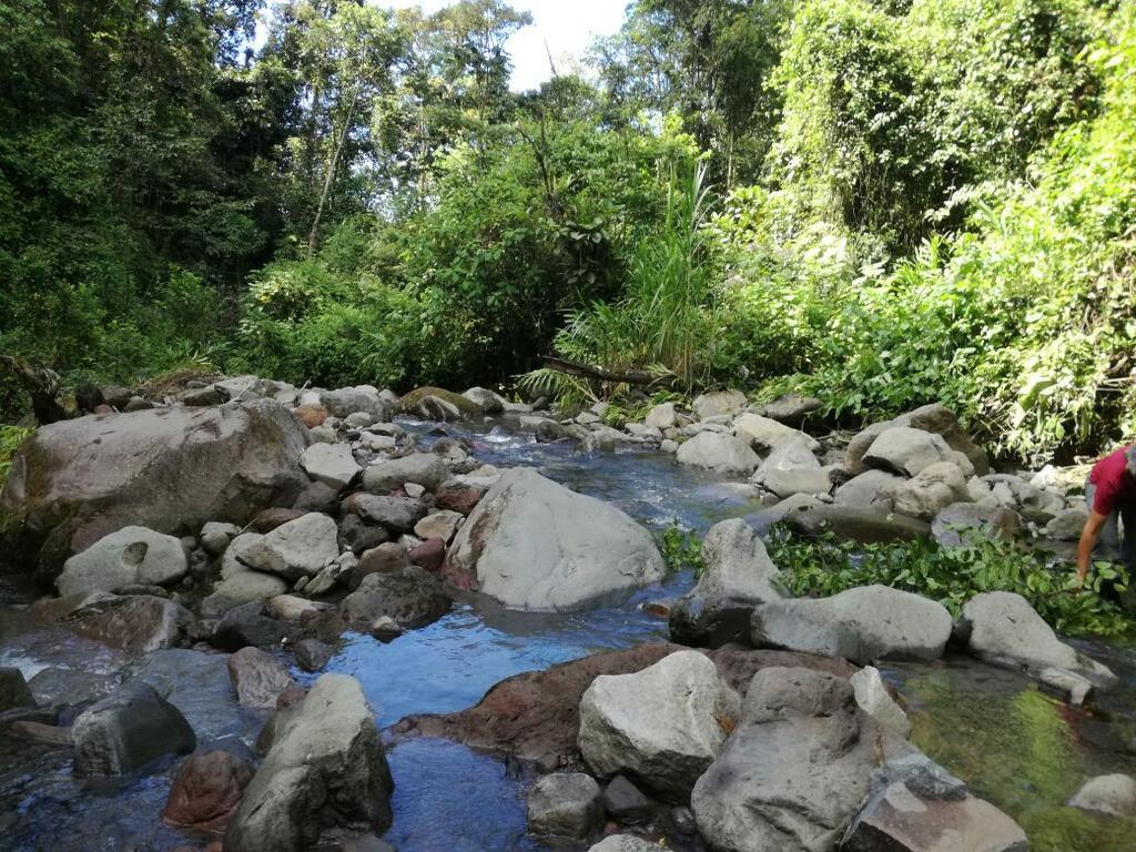 Guayabo Lodge Santa Cruz  Kültér fotó
